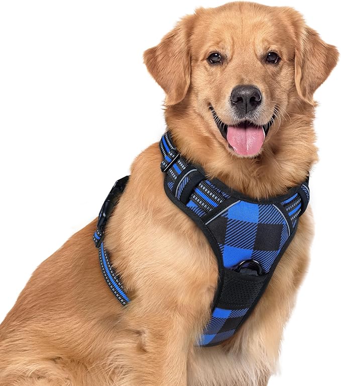 rabbitgoo Dog Harness, No Pull for Large Dogs with 2 Leash Clips, Pet Vest | No Choke with Handle, Adjustable Soft Padded, Reflective, Easy Control for Walking, Blue Plaid, X-Large