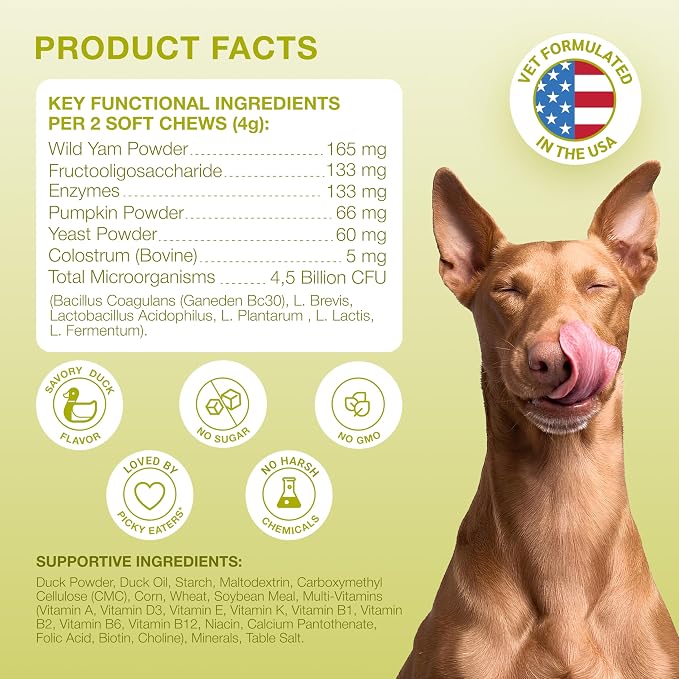 Probiotics for Dogs with Digestive Enzymes & Prebiotics - Sensitive Stomach