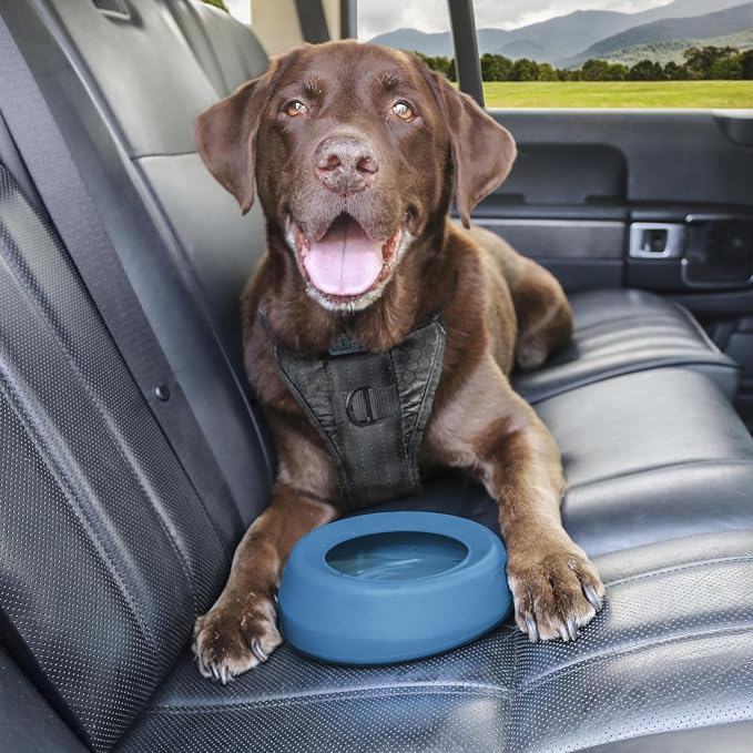 Kurgo Splash Free Wander Dog Water Bowl, 24oz, Coastal Blue
