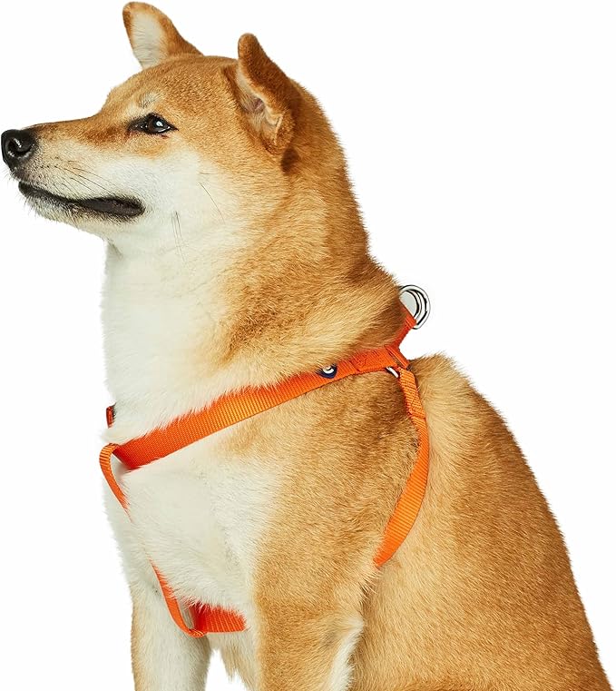 Blueberry Pet Essentials Step-in Dog Harness, Large Size | Adjustable Orange Vermilion Vest | Classic Solid Nylon for Boy & Girl Dogs, Chest Girth 26"-39"