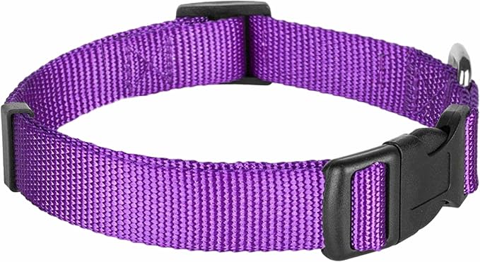 Blueberry Pet Essentials Matching Dog Collar and Double Handle Leash Set in Dark Orchid, Adjustable Classic Solid Color Nylon Collar with 5 ft Leash for X-Small Dogs