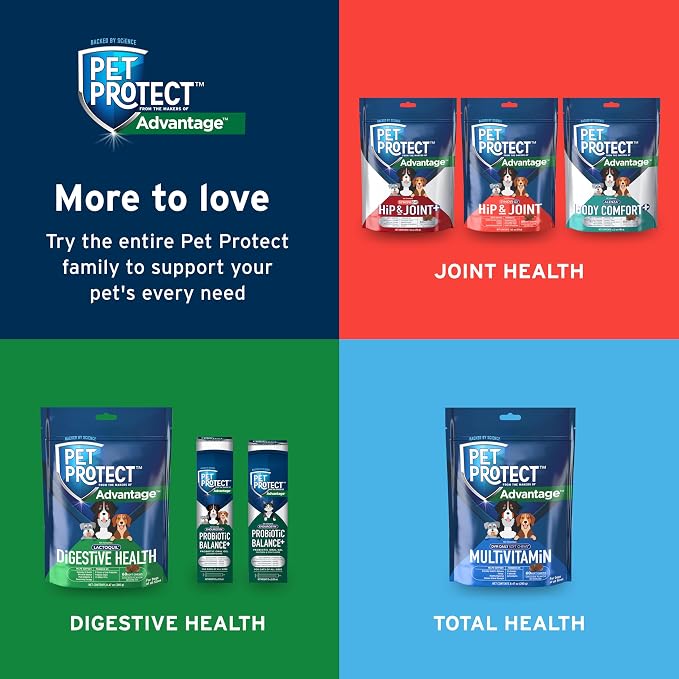 Pet Protect Hip & Joint+ Supplement for Dogs, Chicken Flavor 240ct