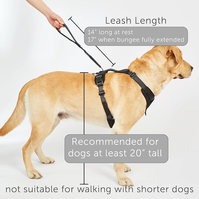 TUG Grab Dog Harness with Built-in Magnetic Traffic Leash (Large/Cream) | Padded Magnetic Traffic Handle | Dual Leash Clips | 4-Point Adjustable Fit | Durable Nylon