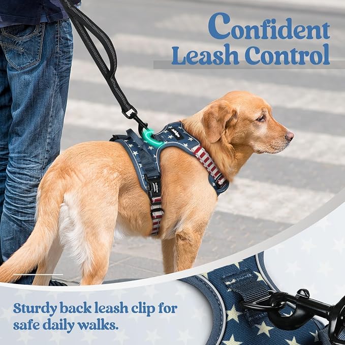 rabbitgoo Dog Harness, No Pull for Small Dogs with 2 Leash Clips, Pet Vest | No Choke with Handle, Adjustable Soft Padded, Reflective, Easy Control for Walking, Blue Star, Small