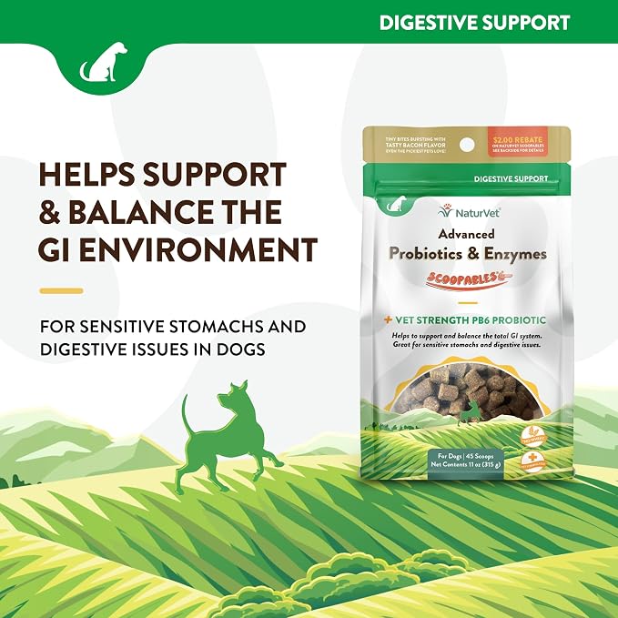 NaturVet Advanced Probiotics Food Topper for Dogs - Bacon, 11oz