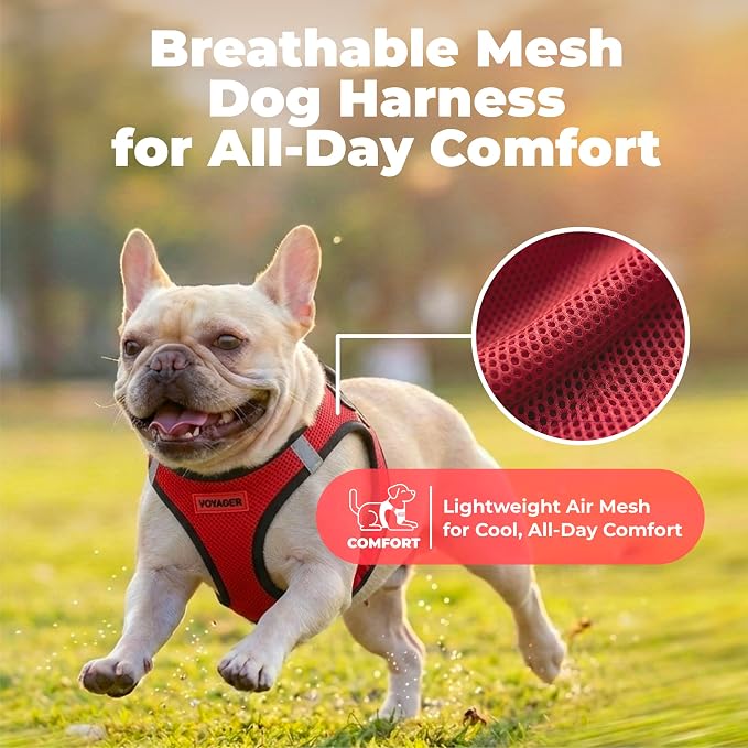 Voyager Step-in Air Dog Vest Harness - Red/Black Trim, X-Large | 20.5 - 23" in Chest, Reflective Bands, All Weather Breathable Air Mesh, Cats Compatible, Lightweight, Fast Drying