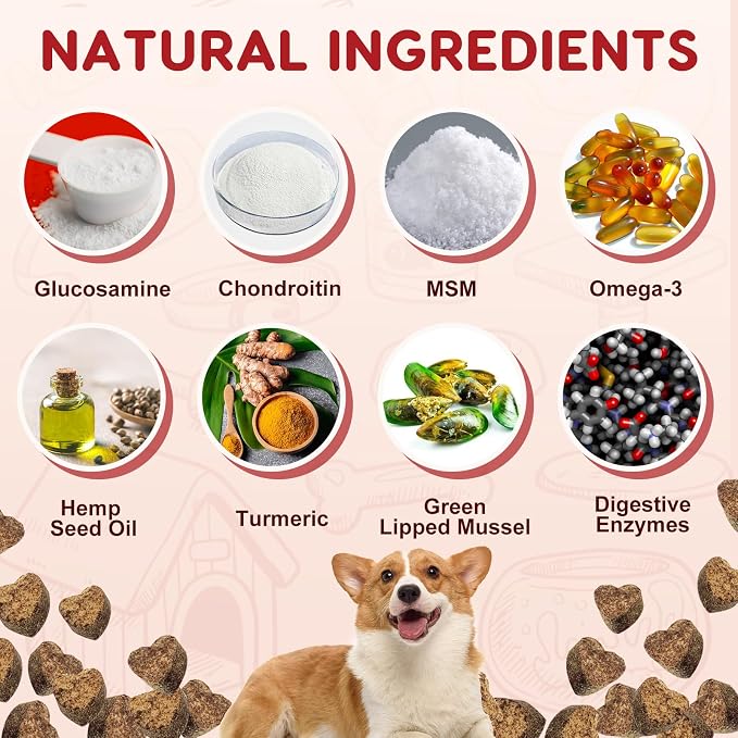 Probiotics for Dogs Bundle with Glucosamine for Dogs