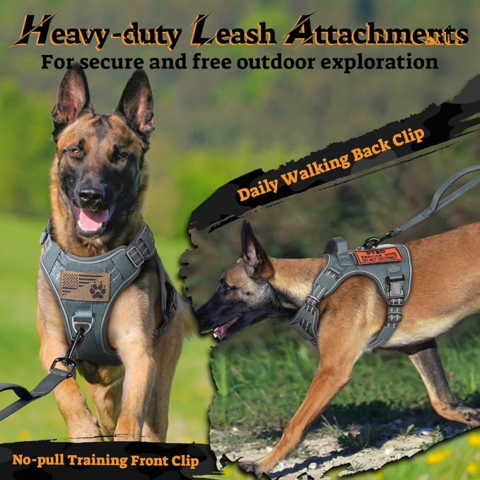 rabbitgoo Tactical Dog Harness for Large Dogs, No Pull Service Pet Vest | Military Molle System & Easy Control Handle, Adjustable and Reflective for Walking and Training, Grey, X-Large