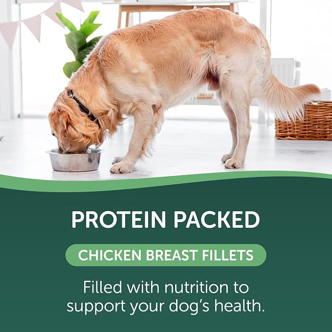 HEALTHFULS Healthfuls Digestive - Chicken & Pumpkin Recipe