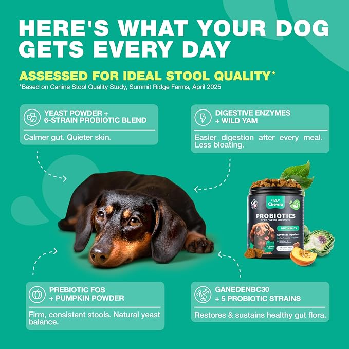 Probiotics for Dogs Gut & Digestive Health, Itchy Skin & Yeast Support