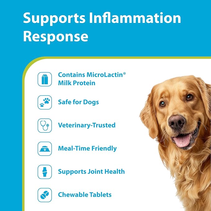 PRN Pharmacal Duralactin Canine Soft Chews for Dogs & Puppies, 60 Count