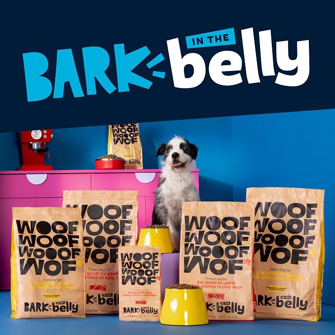 Bark in The Belly Cheese Dog Food Topper – Limited Ingredient Four Cheese Blend with Cheddar, Monterey Jack, Parmesan & Romano – Shake & Sprinkle Meal Mixer for Dogs of All Breeds and Life Stages