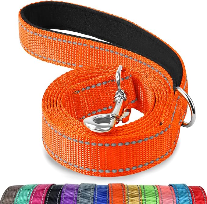 Joytale Reflective Dog Leash for Small Dogs, 4 FT x 3/4", Orange | Heavy Duty Nylon Webbing, Padded Handle for Comfort, Visible at Night, for Walking & Training