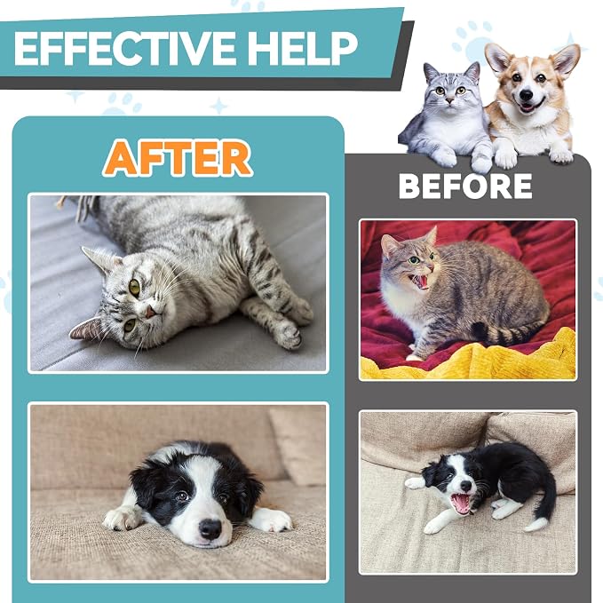 Melatonin for Dogs & Cats, Sleep Relaxation Calm Support Chicken Flavor