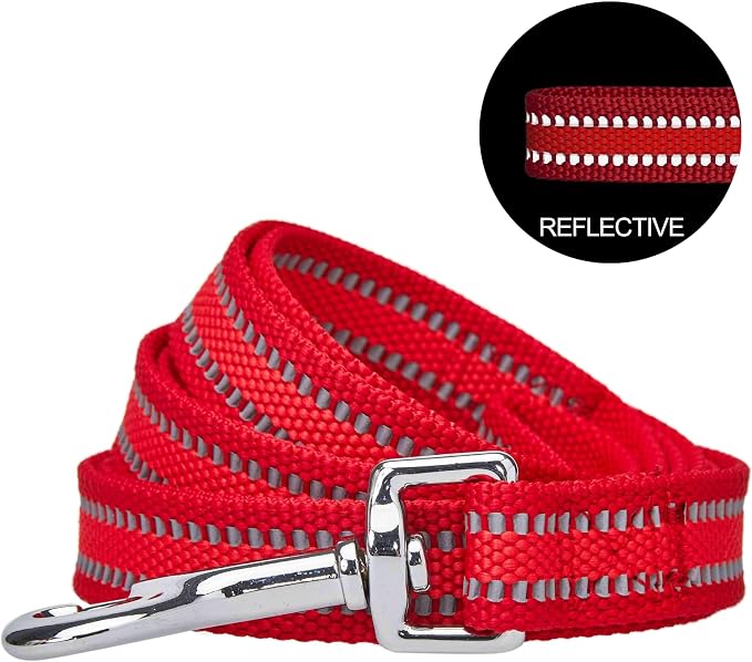 Blueberry Pet Essentials Reflective Better Basics Dog Leash, Rouge Red, 5 ft x 5/8", Small, Leashes for Dogs