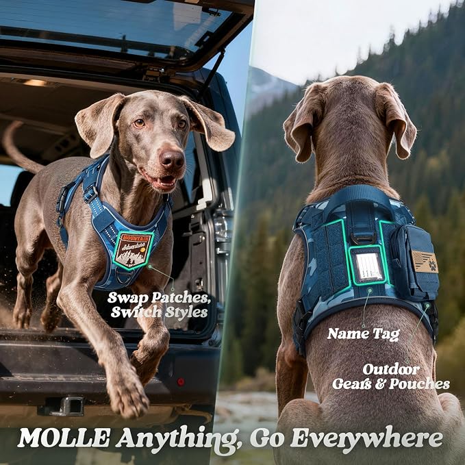 rabbitgoo Tactical Dog Harness for Small Dogs, No Pull Service Pet Vest | Military Molle System & Easy Control Handle, Adjustable and Reflective for Walking and Training, Blue Camo, Small