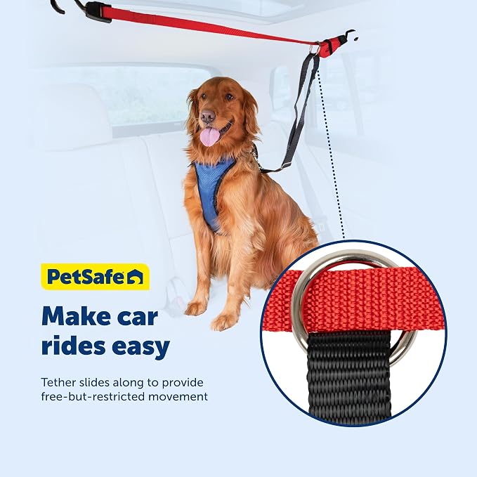 PetSafe Happy Ride Dog Zipline Car Leash | Secures Dog in Backseat While Allowing Mobility, Reduces Driver Distraction, Durable Nylon, Fits Most Vehicles, All Dog Sizes