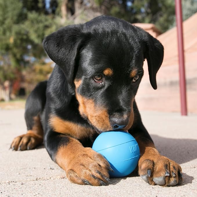 KONG Puppy Ball with Hole, Natural Rubber Teething Toy, Small Puppies, Blue | Soft & Durable Activity Ball That Supports Healthy Exercise, Interactive Play & Natural Teething for Puppies