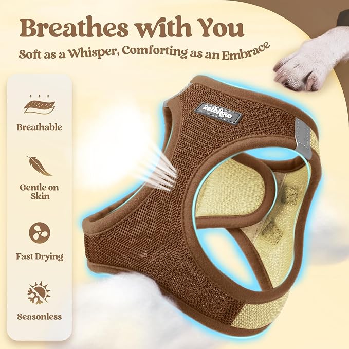 rabbitgoo Dog Harness Small Sized and Leash Set, Step-in Puppy Pet Vest | Light, Soft, Breathable Air Mesh, Easy on and Remove with Hook & Loop, Secure Reflective for Walking, Brown & Beige XXS