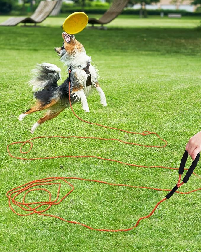 Taglory Long Dog Leash, 15FT 30FT 50FT 66FT Reflective Heavy Duty Rope Leash with Soft Padded Handle for Maximum Freedom in Yard, Field & Camping Large Dogs, Orange 66FT
