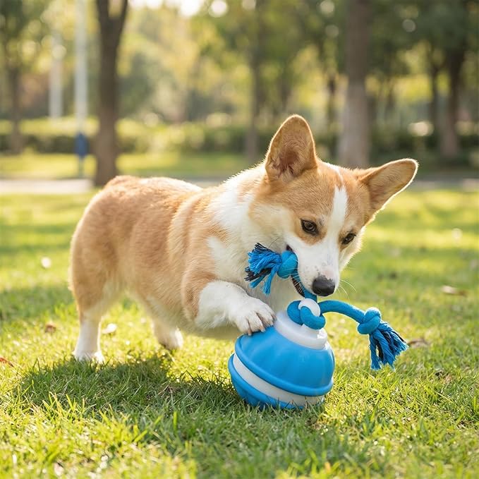Winb Interactive LED Dog Ball （4 inch）- USB Rechargeable Motion-Activated Rolling Toy for Small to Large Dogs, Dogs Ball Play and Wicked Fun, Squeaky Sound & Stimulation, Blue
