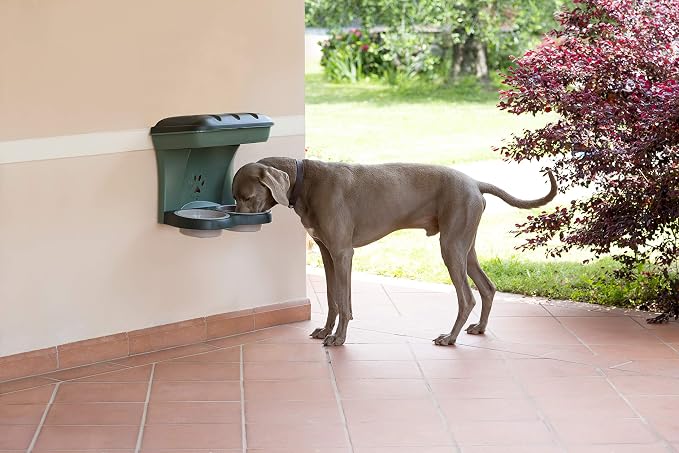 Bama Pet AP-19041 Elevated Food Stand - Medium, Green