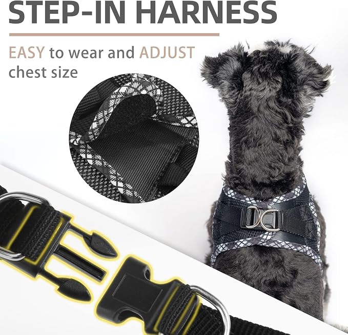 PUPTECK Dog Harness and Leash Set for Small Medium Dogs No Pull Step-in Soft Mesh Puppy Cat Vest Harnesses Reflective at Night, Black M
