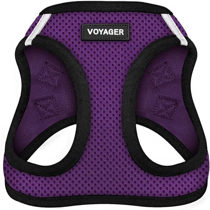 Voyager Step-in Air Dog Vest Harness - Purple/Black Trim, Large | 18- 20.5" in Chest, Reflective Bands, All Weather Breathable Air Mesh, Cats Compatible, Lightweight, Fast Drying