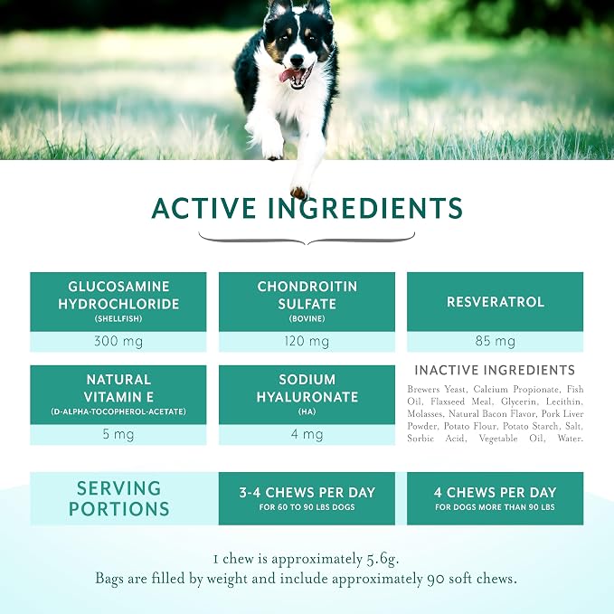 Resveratrol Chews Dog Supplement Bacon Flavor, Large Breed
