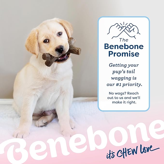 Benebone Puppy 4-Pack Dog Chew Toys for Gentle Chewers, Dog Bones, Small | Durable Made in USA, REAL Bacon, Jack Salmon & Maplewood Flavors, Puppy Teething Toys