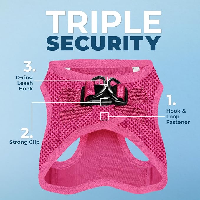 Best Pet Supplies Voyager Step-in Air All Weather Mesh Harness and Reflective Dog 5ft Leash Combo with Neoprene Handle, for Small, Medium and Large Breed Puppies - Fuchsia, XX-Small