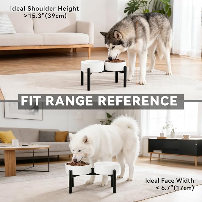 Dog Bowls Elevated - Ceramic Raised Dog Bowl with Non Slip Steel Stainless Stand - No Spill and Heated Feeding Station - Food and Water Dish Set for Medium to Large Pet - Each Holds 7.5 Cups – White