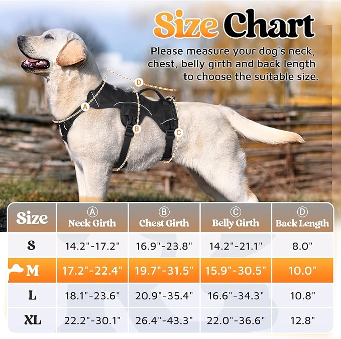 rabbitgoo Escape Proof Dog Harness for Medium, No Pull with Lift Handle | No Escape, Full Soft Padded, Reflective Adjustable Vest, Leash Clip for Walking Hiking Training, Black, Medium