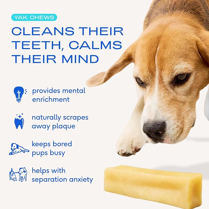 Native Pet Sockeye Salmon Oil for Dogs and Cats (8 Oz.) & Yak Chews (3 Medium Chews) - All Natural Dental Sticks Made with Yak Cheese & Pure Omega-3 Fish Oil Promotes Healthy Skin & Shiny Coat
