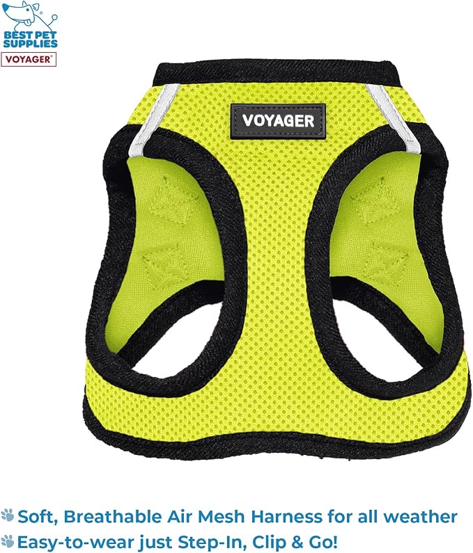 Voyager Step-in Air All Weather Mesh Harness and Reflective Dog 5 ft Leash Combo with Neoprene Handle, for Small, Medium and Large Breed Puppies by Best Pet Supplies - Green, XX-Small