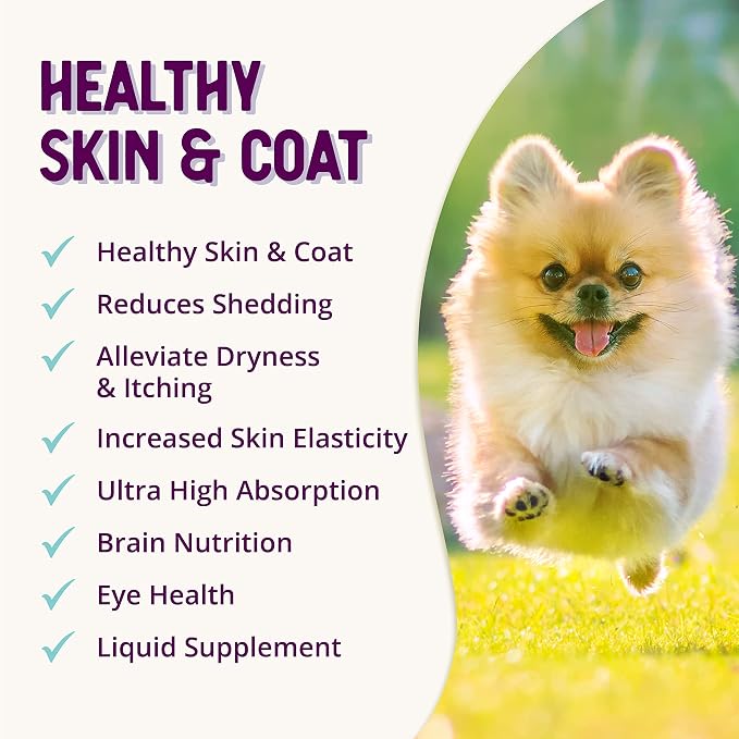 Health Extension Skin & Coat Supplement for Dogs & Puppies, 16oz - Omega 3 & 6 Rich Formula for Healthy Skin & Shiny Coat, Reduces Shedding & Itching