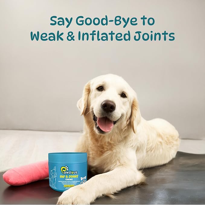 Dog Hip and Joint Supplements, Glucosamine Chondroitin & Green Lipped + Omega-3 & Turmeric + MSM, Treats Improve Joint Function & Mobility in All Ages (Chicken Flavour 100 Chews)