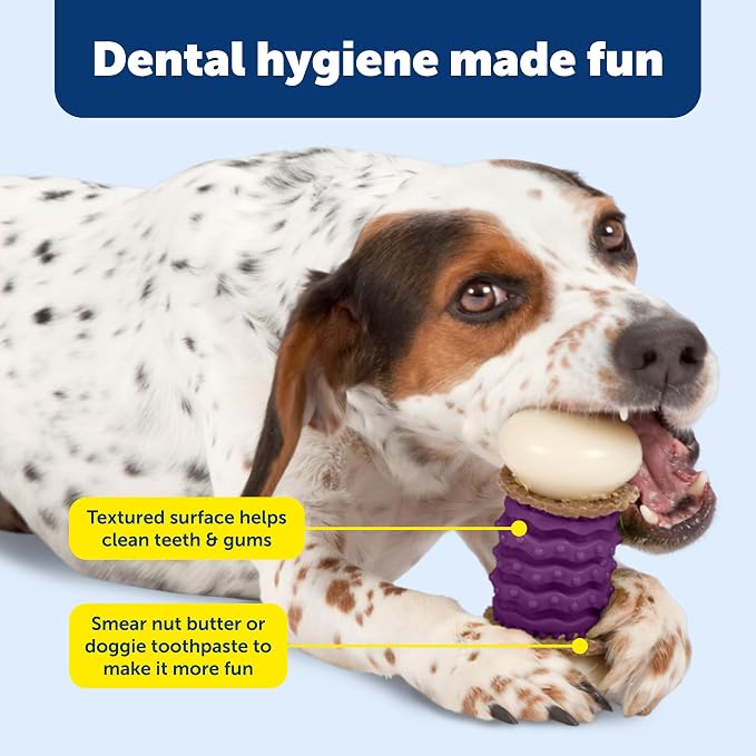 PetSafe Busy Buddy Nobbly Nubbly Treat Holding Dog Chew Toy, Small | Durable Nylon & Vanilla-Scented Rubber, Add Treat Rings or Peanut Butter, Top-Rack Dishwasher Safe, for Dogs 10-25 Lb