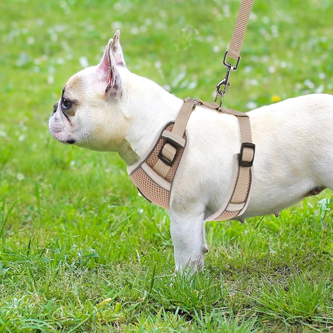 PUPTECK Small Dog Harness and Leash Set, No Pull Adjustable Puppy Cat Harness, Reflective Soft Mesh Pet Vest Small Sized, Khaki, M