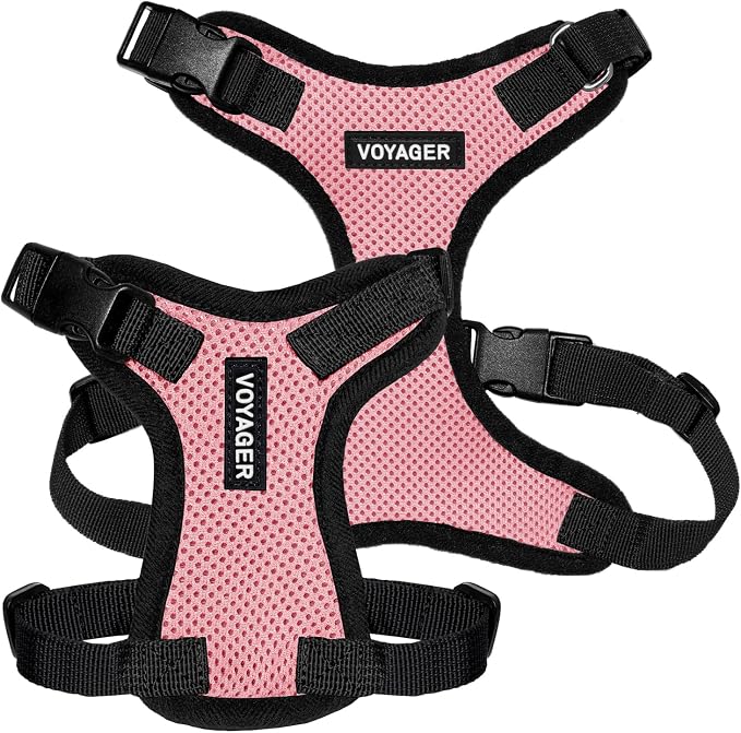 Voyager Step-in Lock Dog Harness - Pink/Black Trim, Medium | 17 - 21" in Chest, Adjustable, Breathable Air Mesh, Lightweight for Daily Walks, Strong Clips, Heavy Duty D-Ring