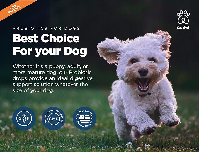 Probiotics for Dogs - Dog Probiotics for Diarrhea - Natural Digestive Enzymes for Upset Stomach Relief + Gas, Constipation Health & Itch Relief - Prebiotic Pet Supplies - 120 Servings
