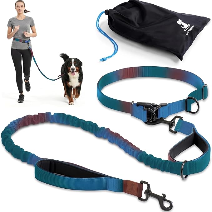 SparklyPets - Hands Free Dog Leash with Reflective Stitches - Waist Leash for Male Dog Walking, Hiking, Training, Jogging, Canicross, Running - Medium & Large Dogs, Gradient Blue