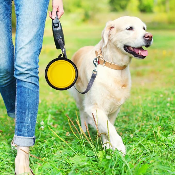3 Collapsible Silicone Dog Bowls, Yellow Blue Black, Small