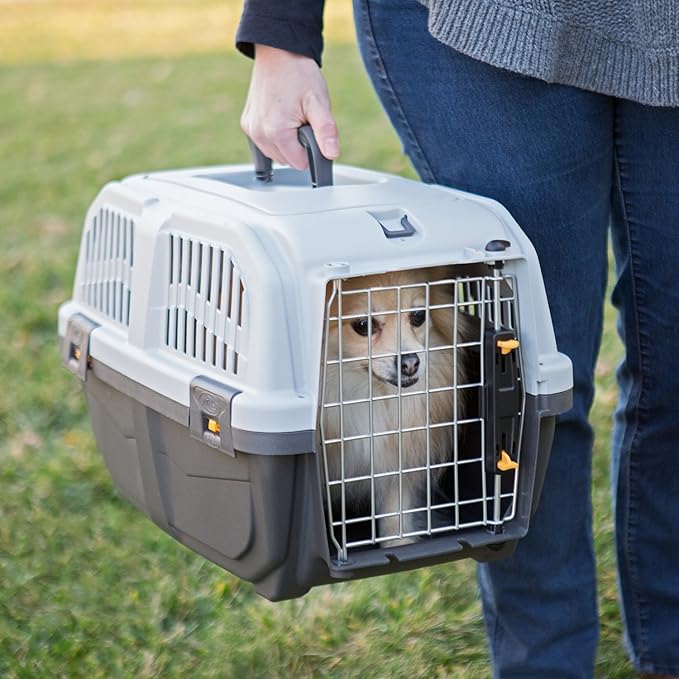 Skudo by MidWest 19-Inch Travel Carrier, Gray, Fits Pets up to 10 lbs | Hard-Sided Pet Carrier, Travel Crate with Handle, Ventilated Design, Locking Tabs, Easy Assembly