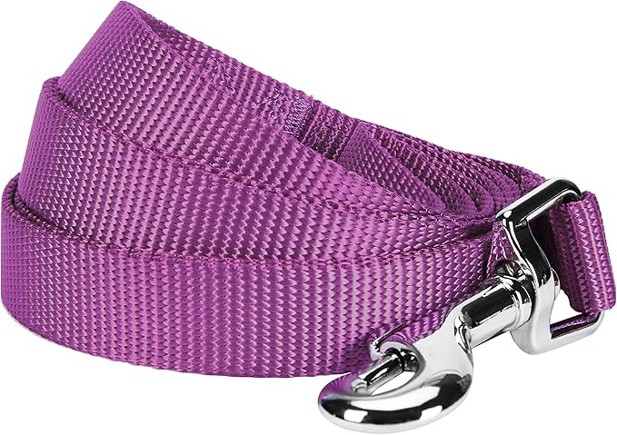 Blueberry Pet Essentials Violet Dog Leash for Small -5' * 5/8" Dogs | Heavy Duty Nylon Lead | Lightweight Puppy & Cat Leash for Walking & Training