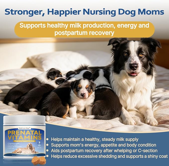 Dog Prenatal Vitamins - Supports Pregnancy Wellness, Puppy Growth & Lactation and Recovery | Riched Essential Nutrients - DHA, Folic Acid,Iron, Calcium | Advanced Multivitamin for Pregnant and Nursing