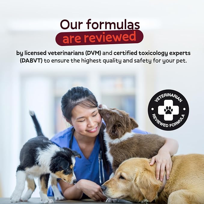 Oliver's Gut Probiotics for Dogs, Digestion Health · 6-Strain Probiotics · Immune Support. Papaya & Pumpkin Powder. Beef Bone Broth Powder. Gut Health. Beef - 120 Count.