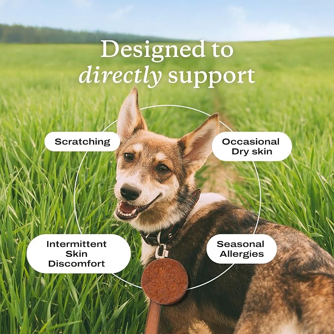 PetLab Co. Itch Relief Chew Pro, 30 Soft Chews, Salmon | Quercetin, biotin and antioxidants in an omega-rich formula to support itch relief and skin hydration