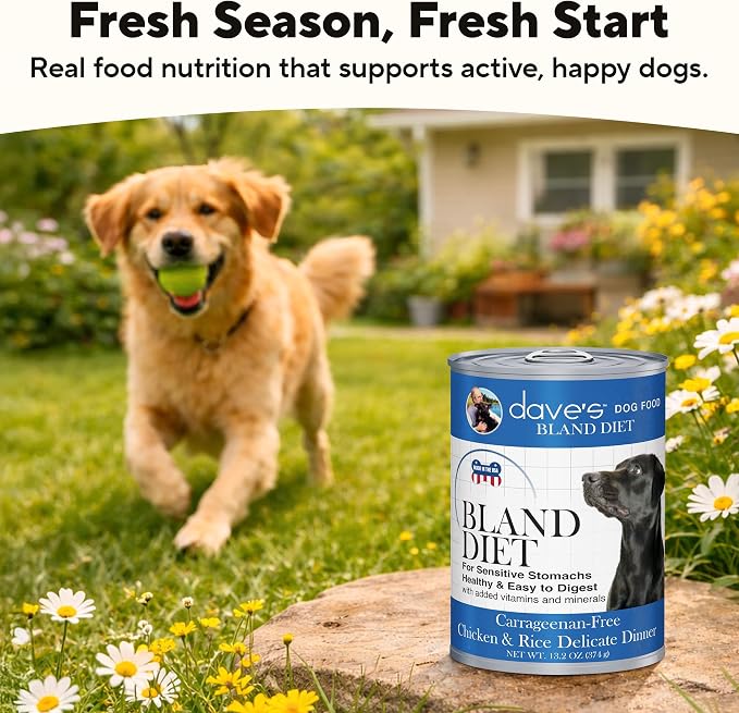 Dave's Pet Food Bland Diet Dog Food, Chicken & Rice, 13.2 oz, 12 pk