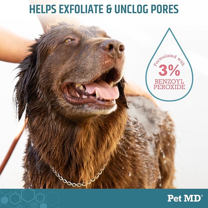 Pet MD - Benzoyl Peroxide Shampoo for Dogs and Cats - Effective for Skin Conditions, Dandruff, Itch Relief, Acne and Folliculitis - Citrus Scent - 12 oz (Pack of 2)